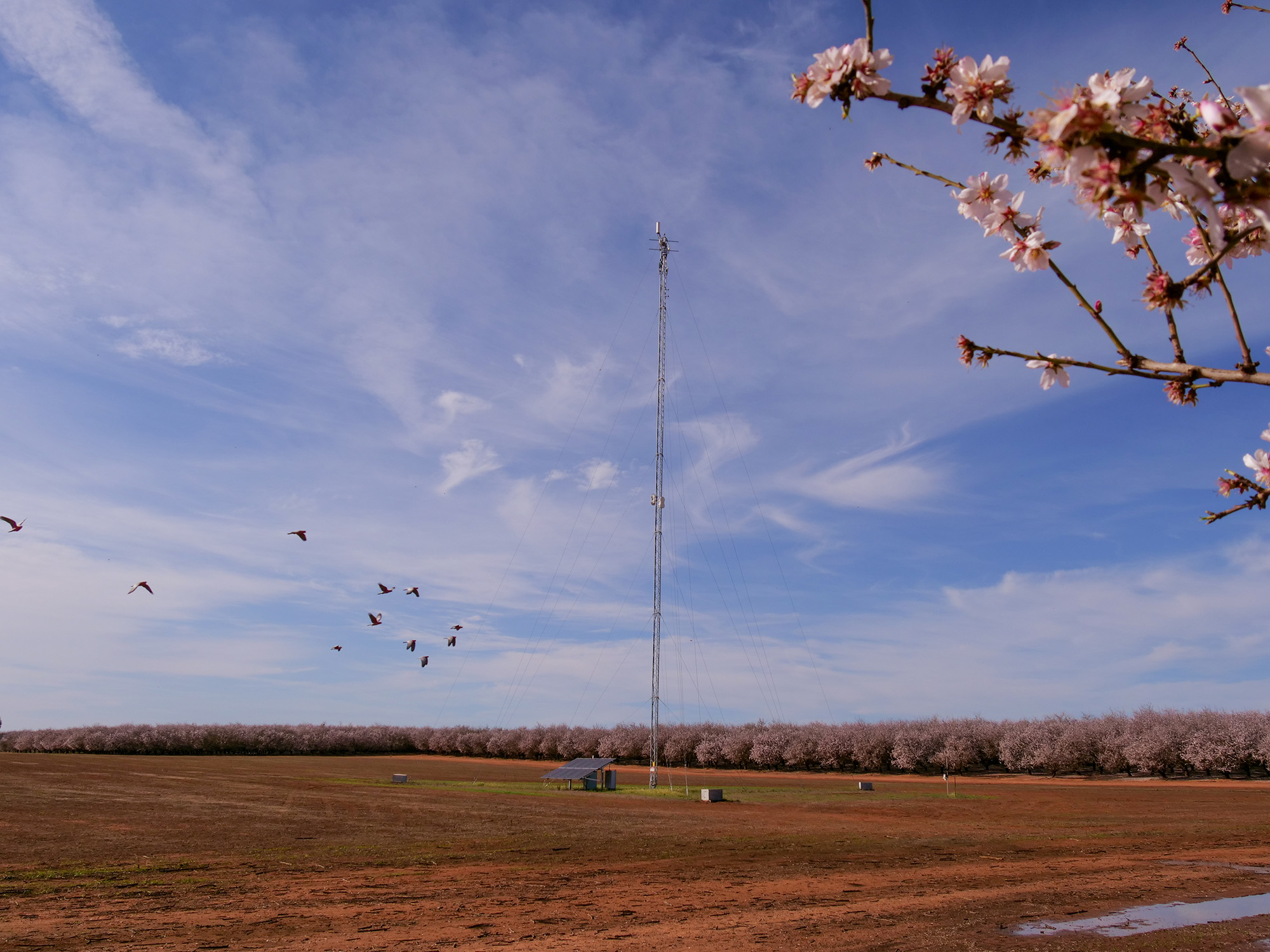 Connected Farms Private 4G Network