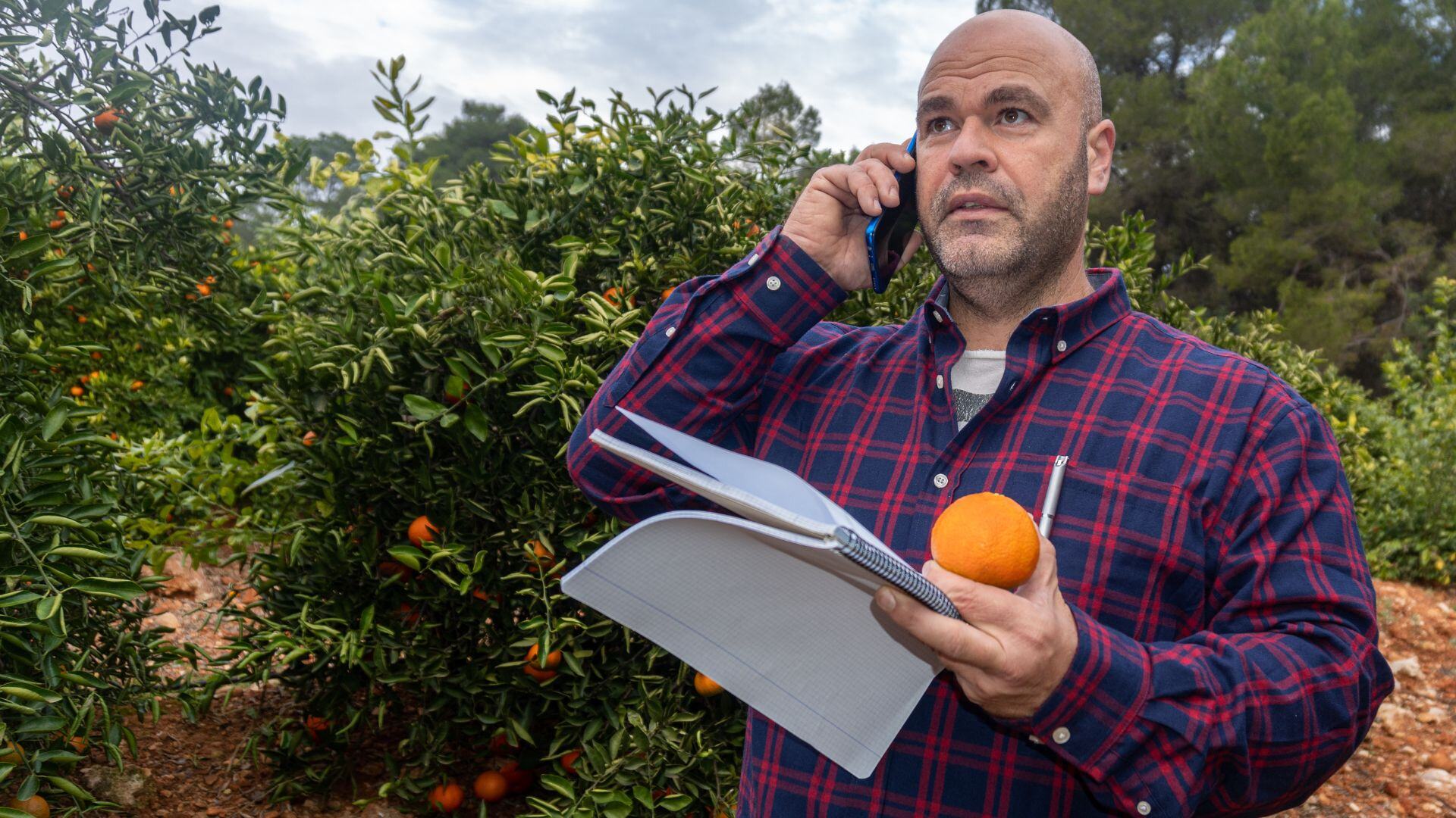 Agronomist on phone image
