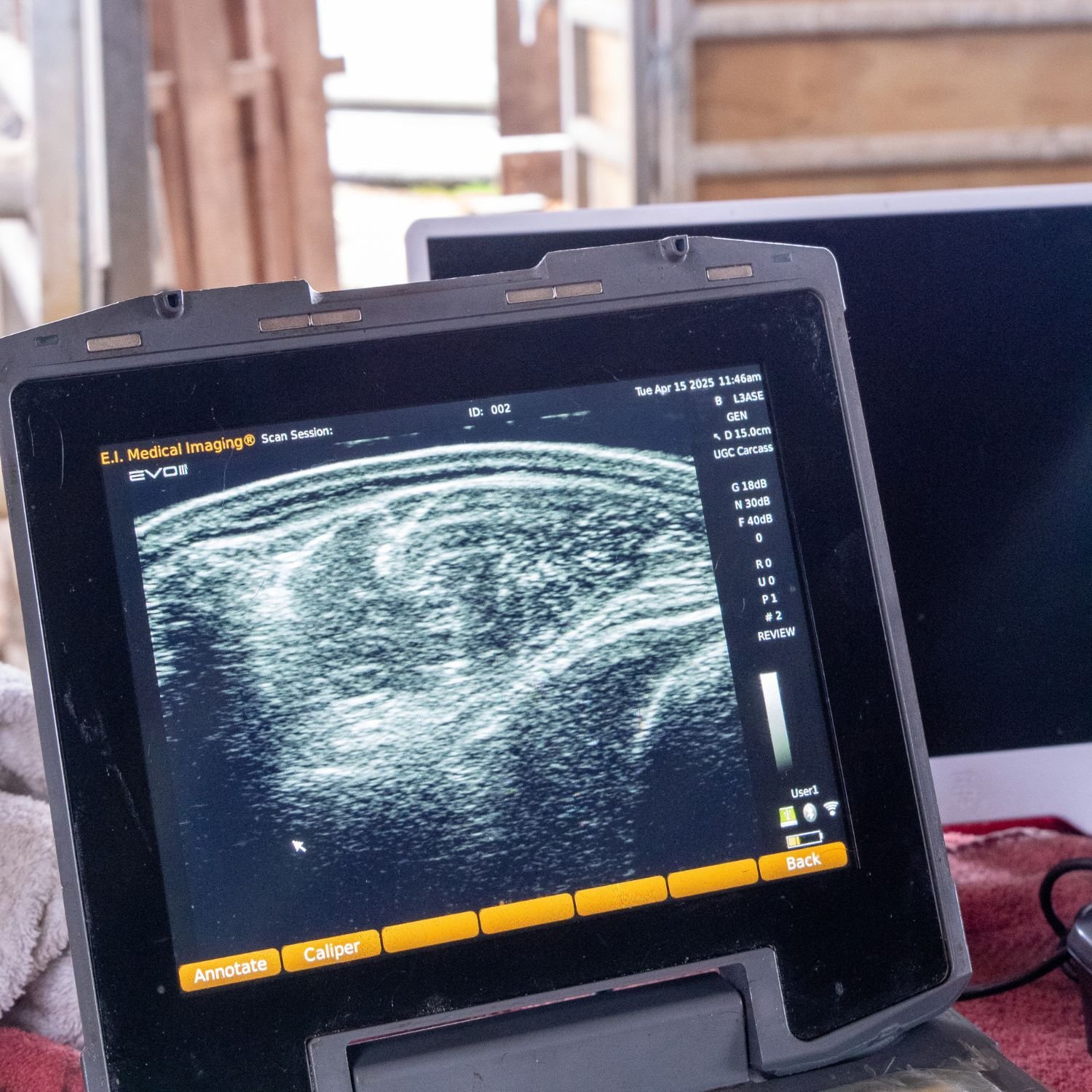 Canterbury Ultrasound body image 2