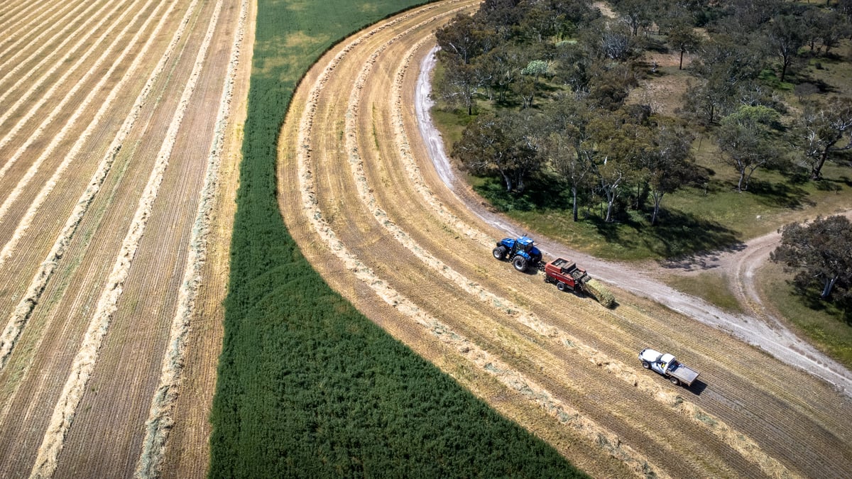 DJI_0063