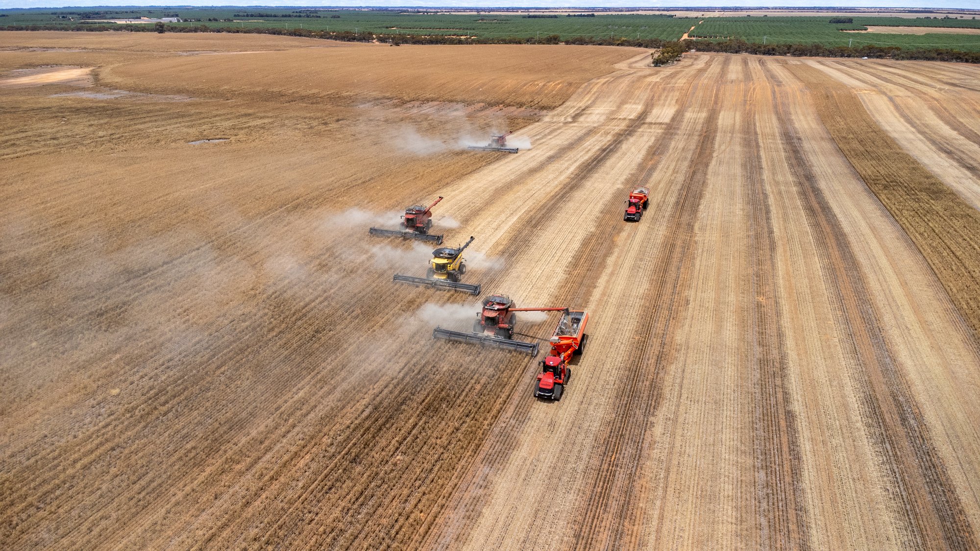 DJI_0685