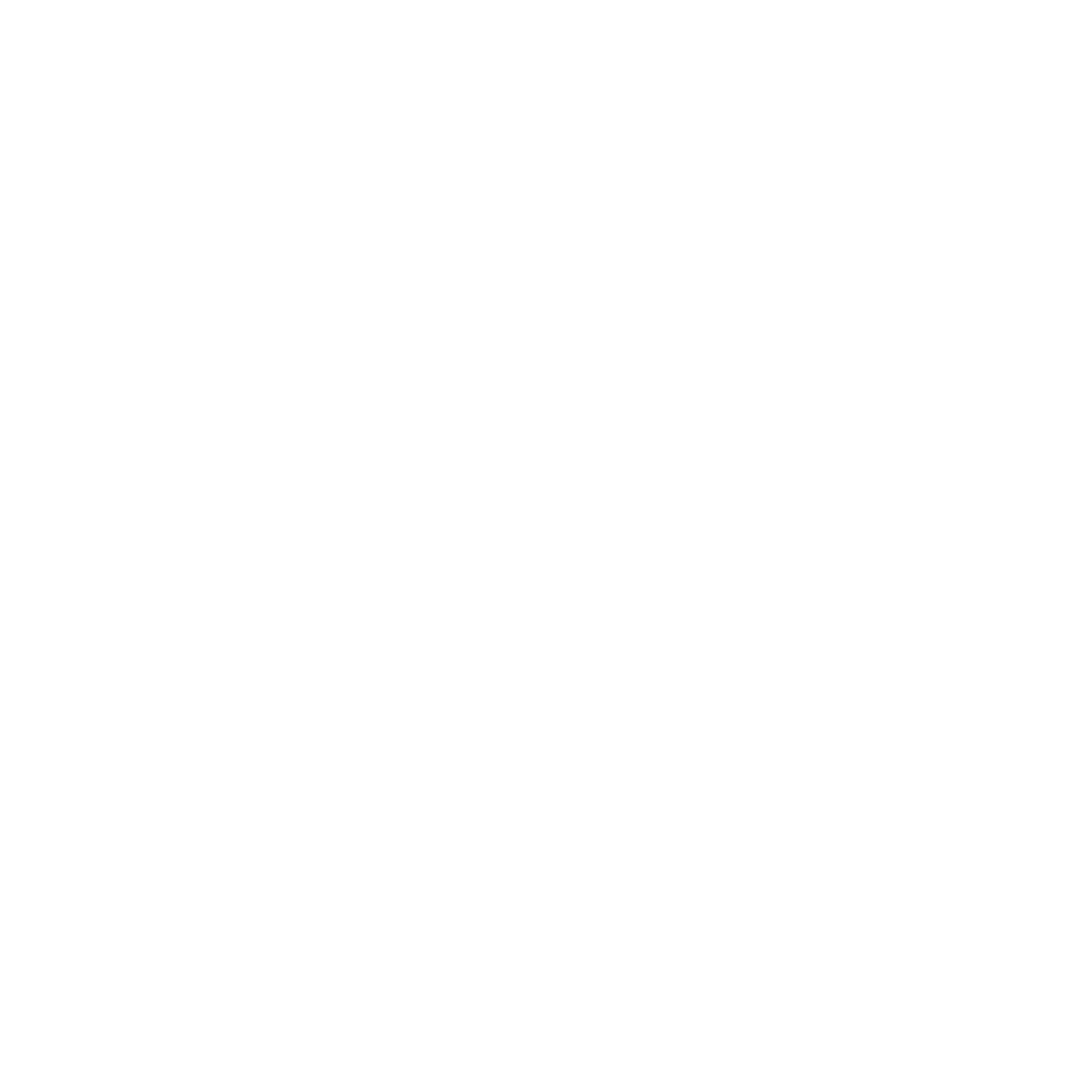 chat icon